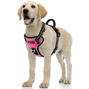 Petacc Hunde Hundegeschirr Grosse Mittelgroße Hunde Verstellbares Reflektierendes Hunde Geschirr No Pull, Brustgeschirre für Hunde mit Post-Positiver D-Ringschnalle