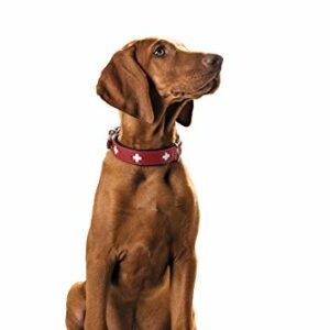 HUNTER SWISS Hundehalsband, Leder, hochwertig, schweizer Kreuz, Rot (rot/schwarz), 55 – Bild 4
