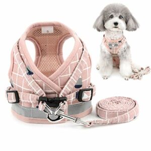 Zunea Hundegeschirr Kleine Hunde Welpen Verstellbar Reflektierend kein Ziehen Brustgeschirre mit leine für Chihuahua Puppia, Netz gepolstert ausbruchsicher Katzen Geschirr Rosa S
