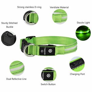 Leuchthalsband für Hunde Aufladbar LED Hundehalsband 100% Wasserdicht Blinkende Lichter mit USB von MASBRIL(M, 50cm, Grün) – Bild 3