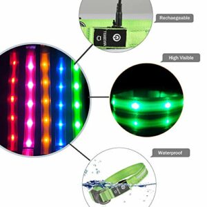 Leuchthalsband für Hunde Aufladbar LED Hundehalsband 100% Wasserdicht Blinkende Lichter mit USB von MASBRIL(M, 50cm, Grün) – Bild 4