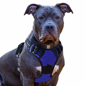 Eagloo Hundegeschirr Geschirr für Große Hunde Anti Zug Mittelgroße Brustgeschirr No Pull Sicherheitsgeschirr Auto Dog Harness Labrador Welpengeschirr Joggen Ausbruchsicher Weich Gepolstert Blau M