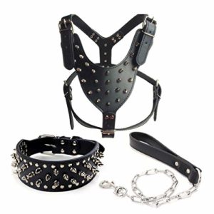 Brustgeschirr 3 Set, Lifet Hundegeschirr Hundeleine Welpenkragen 3er Brustgurt Set Anpassungsfähig Leopardmuster Für Kleine Und Mittelgroße, XS ~L